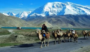 Like to ride a camel through the Hindu Kush? Contact Exodus Travels. Photo from Exodus Travels 