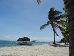 If it's a tropical paradise, it has to have a palm-fringed beach. Photo by Clark Norton