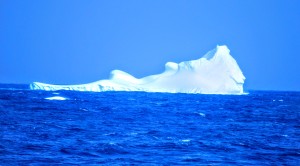 An iceberg off Antarctica. Photo by Catharine Norton.