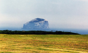 Bass Rock, Firth of Forth, Scotland. Photo by Phillip Capper, Flickr. 