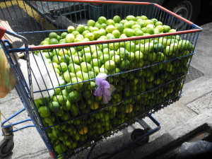 How can you "lime" without limes?  No shortage in Fort-de-France. Photo by Catharine Norton. 
