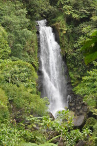Trafalgar Falls, Dominica. Photo by Amy El-Bassioni