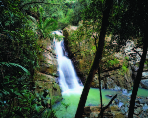 El Yunque Waterfall is one of Puerto Rico's natural wonders. Photo from Puerto Rico Tourism Company