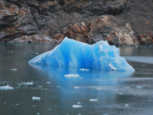 An iceberg in Tracy Arm, Alaska -- great for summetime viewing. Photo by Catharine Norton