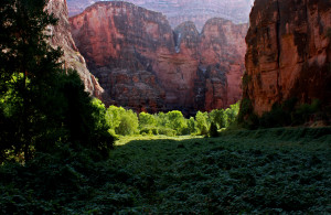 Havasu Canyon, photo by Mitch Stevens