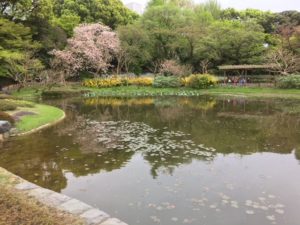 Japanese gardens provide a peaceful respite from the urban hubbub. 