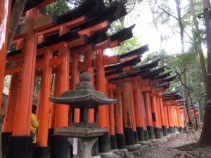 A shrine near Kyoto boasts hundreds of vermillion-colored gates. 