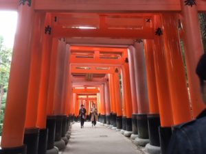 The steps leading up the mountain from the main shrine at Fushimi lead through hundreds of vermillion gates