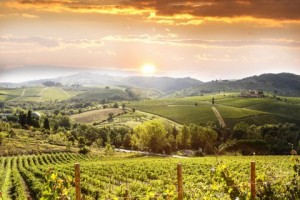 A Chianti vineyard in Tuscany is included on the Gold Standard tour of Italy offered at Zicasso. Photo from Zicasso.