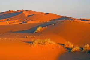 Sahara Desert dunes at Erg Chebbi, Morocco. Photo by Dennis Cox/WorldViews