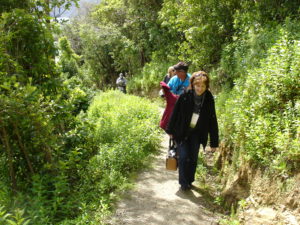 Trekking along the Milford Track. Photo by Clark Norton 