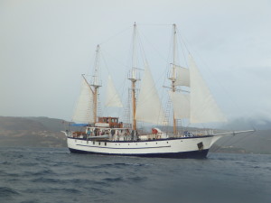 The Sagitta at full sail. Photo by Marina Kofman.
