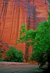 Paria Canyon's soaring walls are a highlight of Arizona's Red Rock Country. 