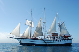 The Sagitta at full sail. Photo from Island Windjammers. 