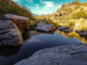 The Wildhorse Pool in Saguaro National Park. 