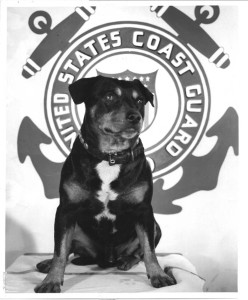 Sinbad, the decorated Sea Dog who spent 11 years with the U.S. Coast Guard. 