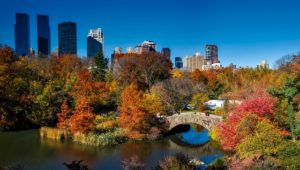 New York's Central Park named top must see attraction in the U.S. 