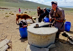 A Projects Abroad volunteer works with Mongolian nomads on a community project. Photo from Projects Abroad. 