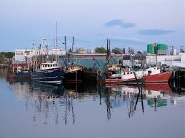 Fishing boats in Gloucester harbor. Photo from gloucester-ma-gov