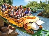 Take your family to Busch Gardens. Photo from Busch Gardens