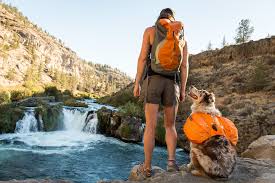 Dogs love water features along the trail. Photo from ruffwear.com