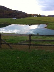 A pastoral scene near Roanoke, Virginia. Photo by Clark Norton