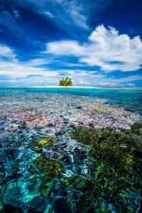 Tuvalu will become a center for Climate Change Tourism. Photo from Timeless Tuvalu